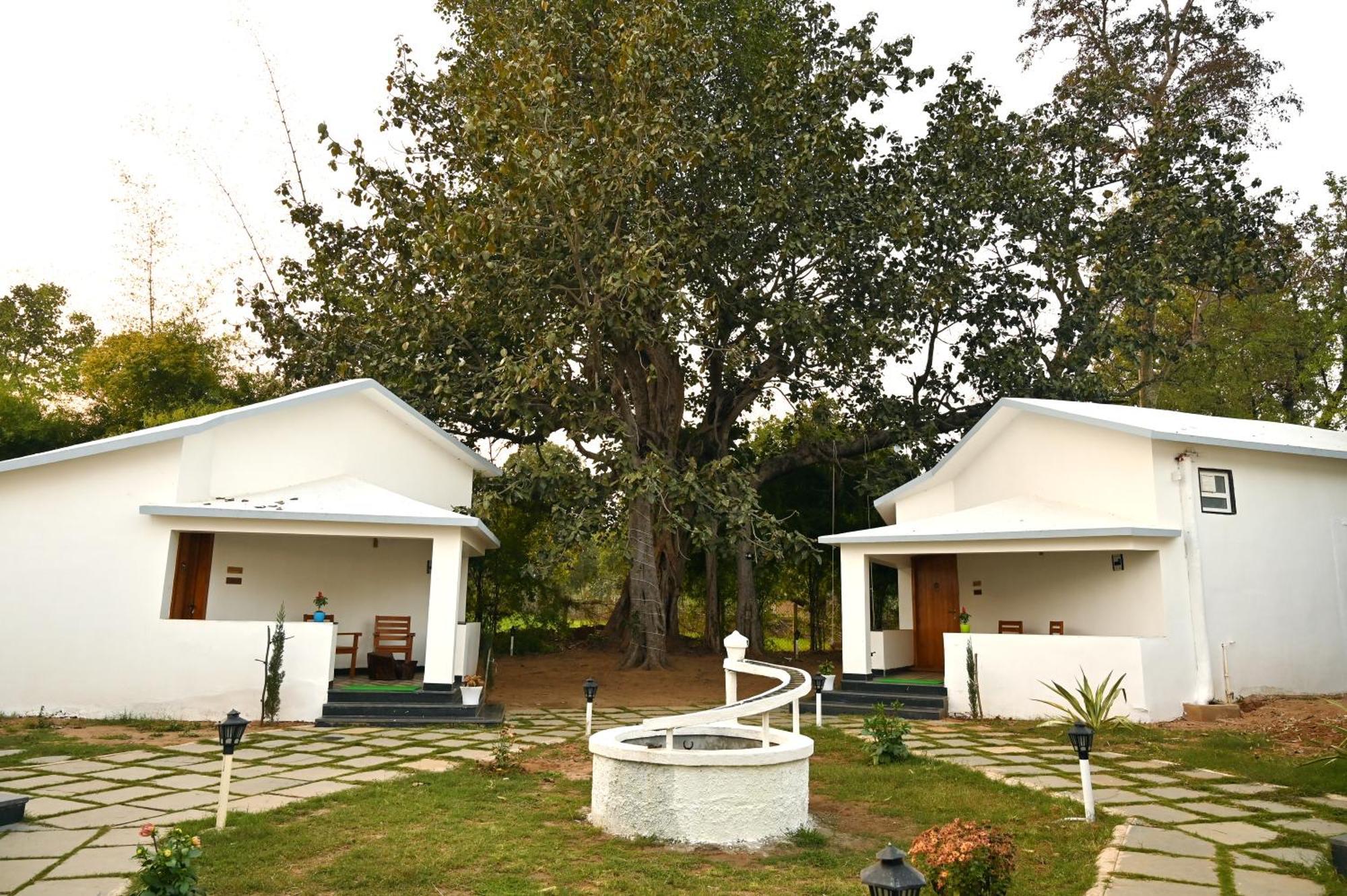 Hotel Olive Tāla Exterior foto