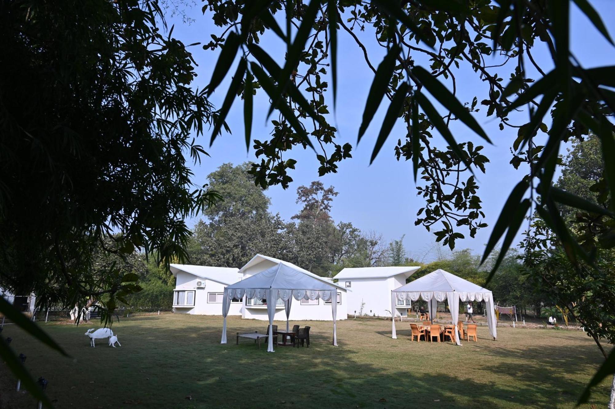 Hotel Olive Tāla Exterior foto